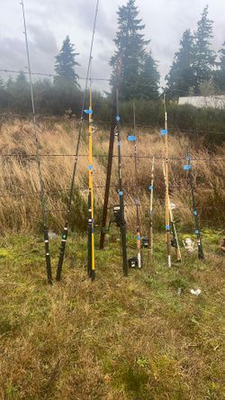 Fishing Rods 