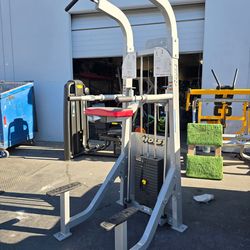 Hoist dual pull up / assisted chin up / dip commercial gym equipment exercise weight machine