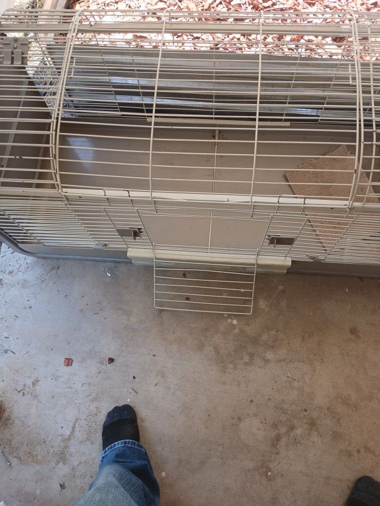 Bunny Cage