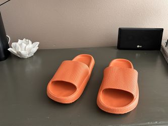 Adult Size Slides