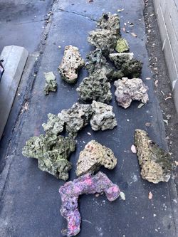 Live rock for fish tank
