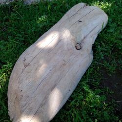 Natural Driftwood Aquariums Terrariums Decor . 