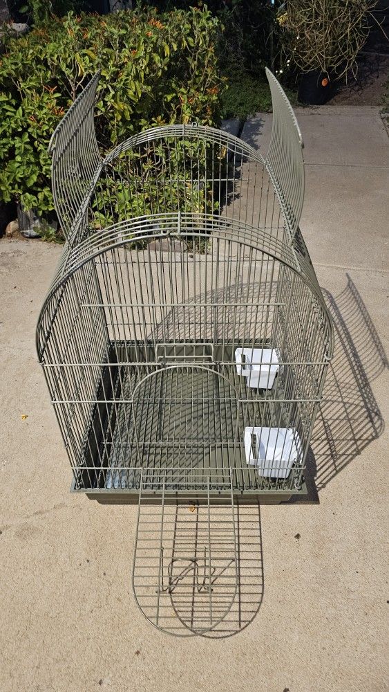 Bird Cage