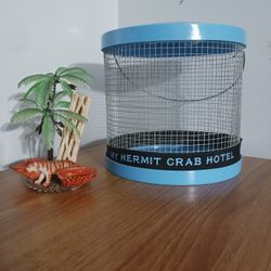 Hermit Crab Cage With One Accessory 
