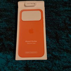 iPhone 17 Pro Max Orange Silicone 