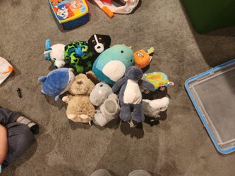 Stuff Animals 