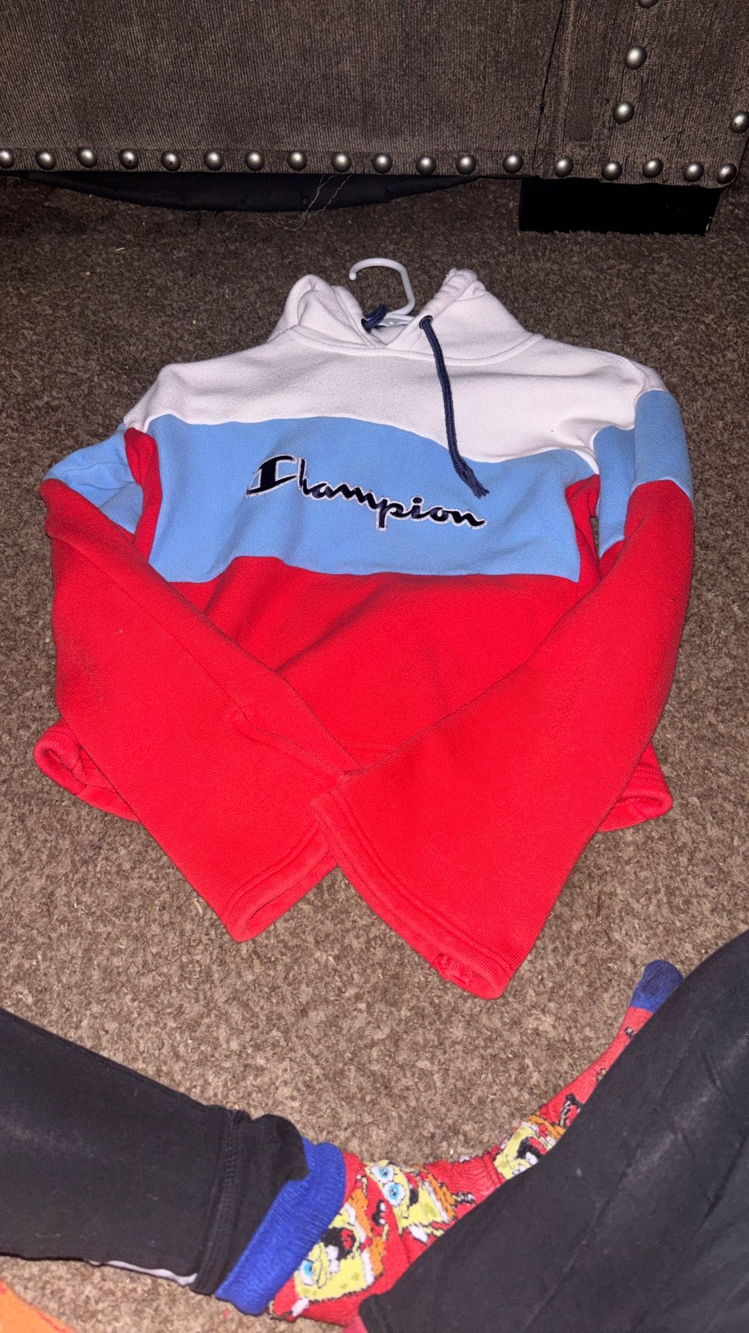 Champion Sweater Crop Top