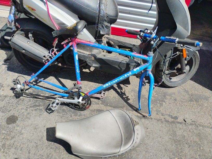 Bianchi Alant