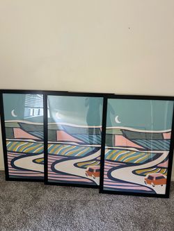 (3) 24x36 in frames