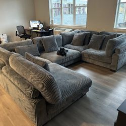 Sectional Sofa/couch 