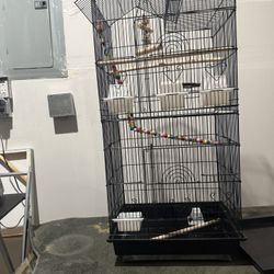 Bird Cage 
