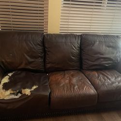 Free Sofa And Free Center Table