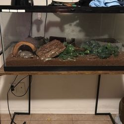 Has a Small Hole On The Top