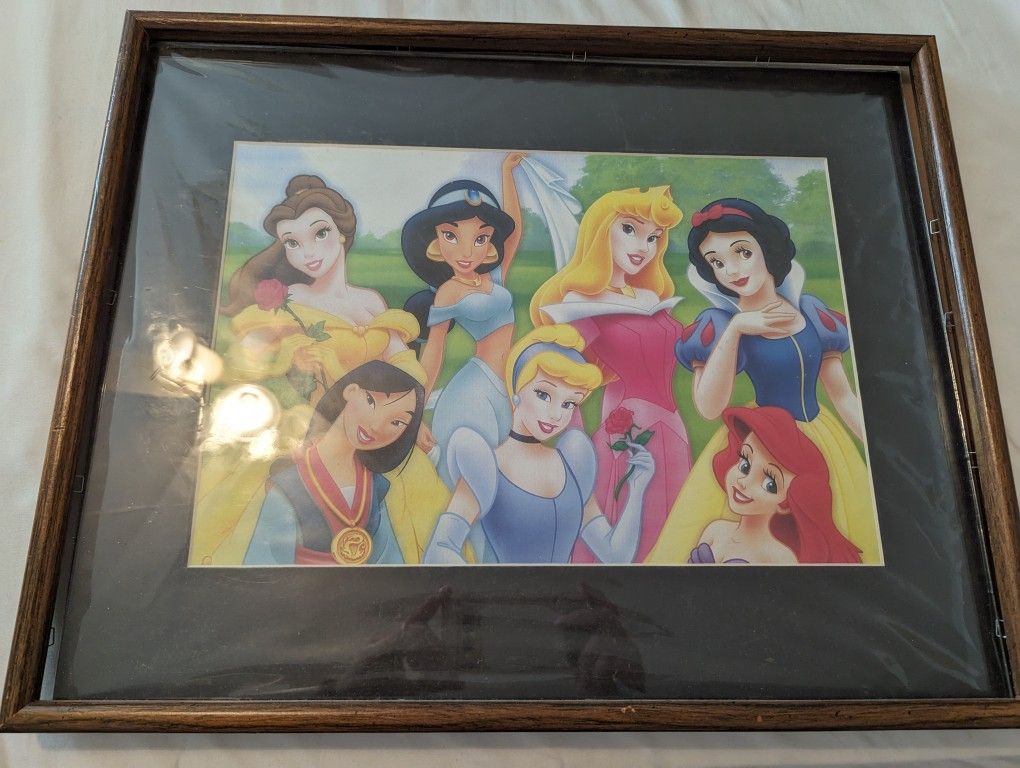 Disney Princesses Picture, Framed