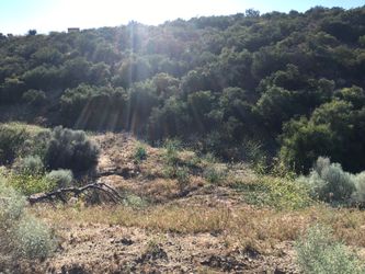 Dump Dirt