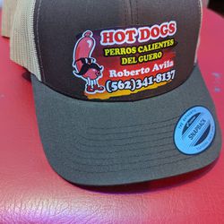 Gorras DTF Para Negocios Hat Cada Uno $14.99