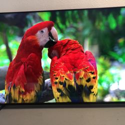 Sony Tv 55 Inch Smart Tv 4K QLED