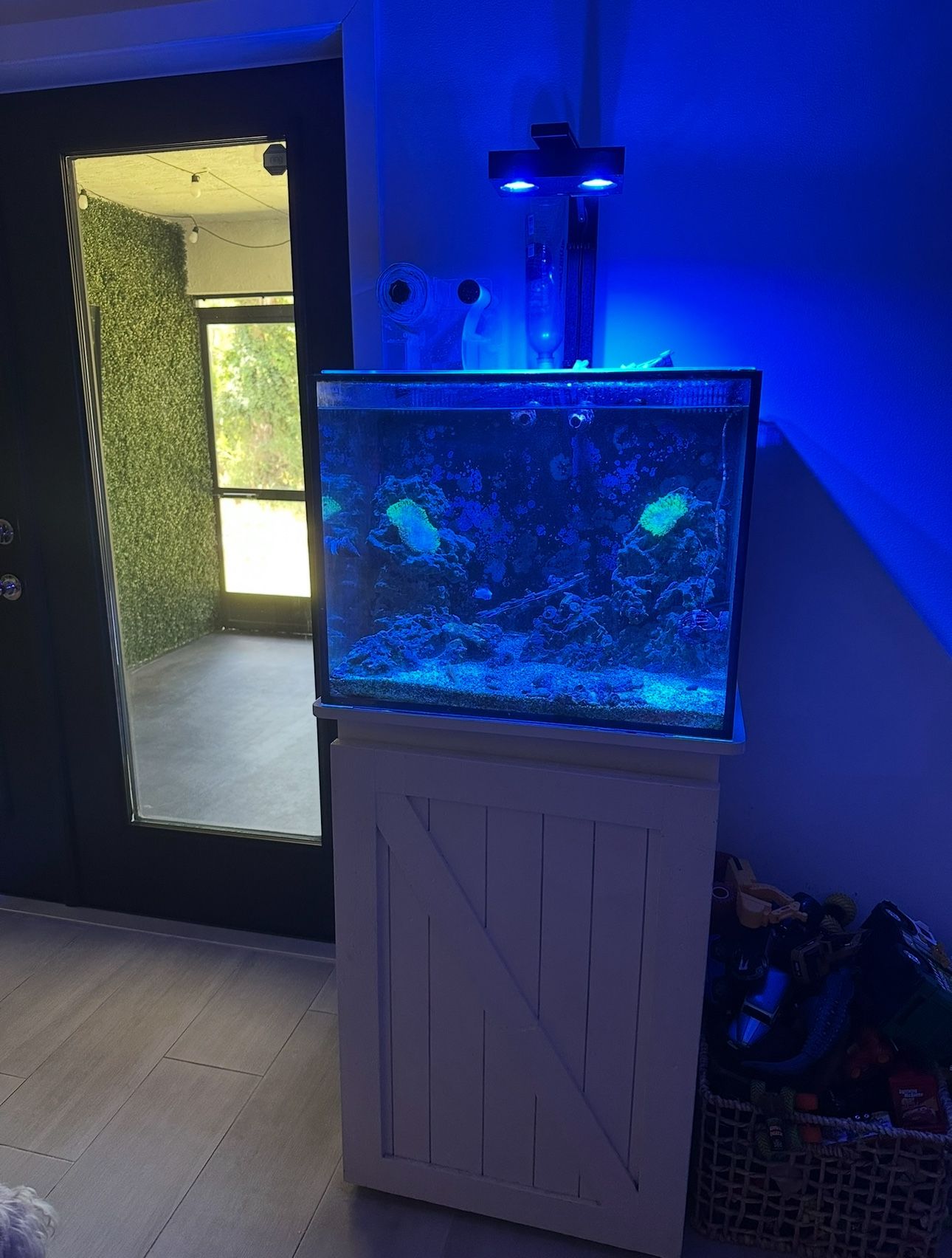 40 gallon innovative marine