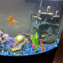 Fish Tank Aquarium 40 Gallons for Sale in Laguna Niguel, CA - OfferUp Fish Tank Aquarium 40 Gallons for Sale in Laguna Niguel, CA - OfferUp
