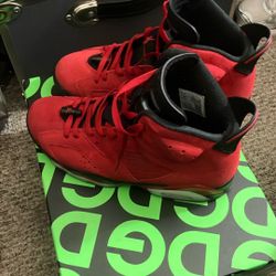 Jordan 6s Toro Bravo 