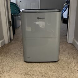 Hisense Dehumidifier 