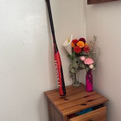 Louisville Slugger Quest Fast pitch softball Bat 