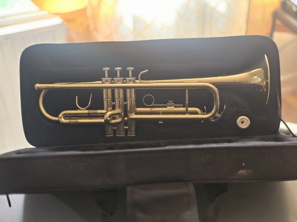 Musical Instrument