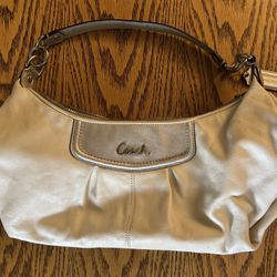 Coach Ashley Hobo Bag