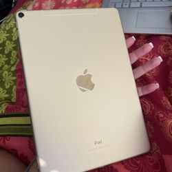 Brand New Gold iPad Pro 256 Gb With Cellular 