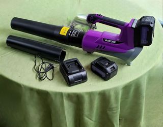 Leaf Blower 180MPH, 650 CFM, 6-Speed Adjustable, Powerful Airflow with an axial flow motor for stronger, quieter performance, Comes with 2 batteries a