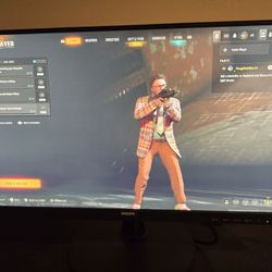 Philips 22 Inch Monitor 