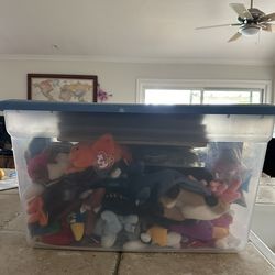 Ty Beanie Babies Entire Collection