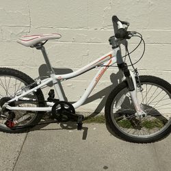 Specialized 20in MTB 