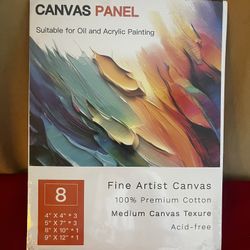 8 Pack Variety Sizes Canvas Panels