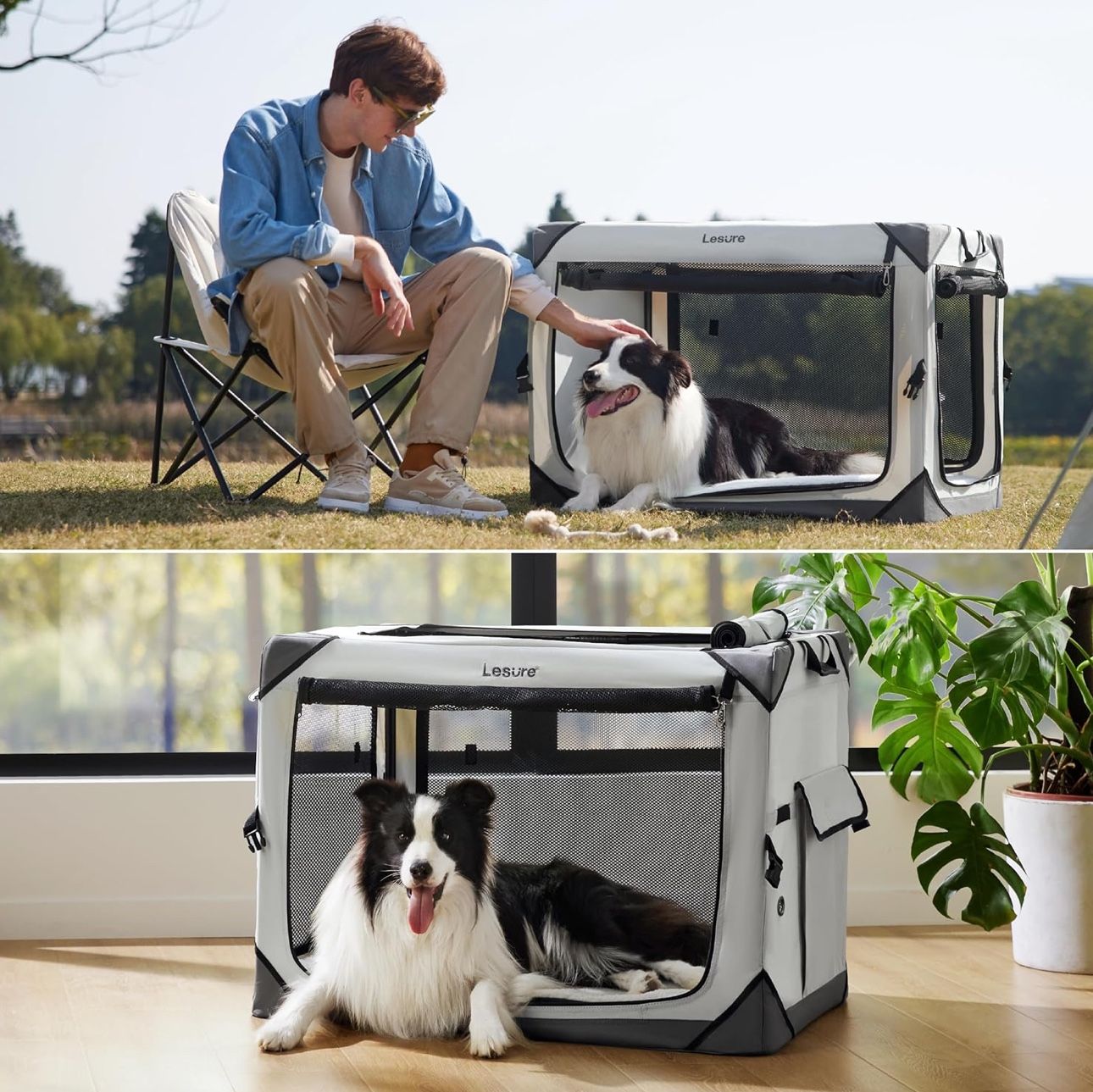 Dog Crate