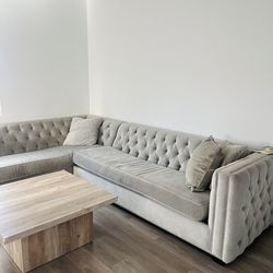 Sectional grey couch