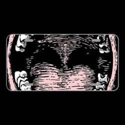 License Plate Novelty Car Front Mouth Human Teeth Open Tongue