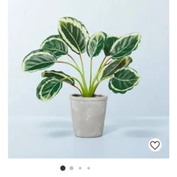 14" x 16" Faux Calathea Plant in Ceramic Pot - Hearth & Hand™ with Magnolia - Box Of 4. Brand New. Still In Box.