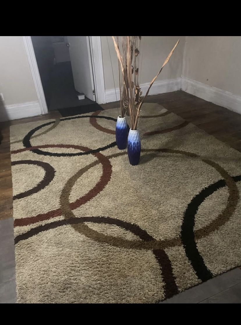 Area Rug 8x10 Huge