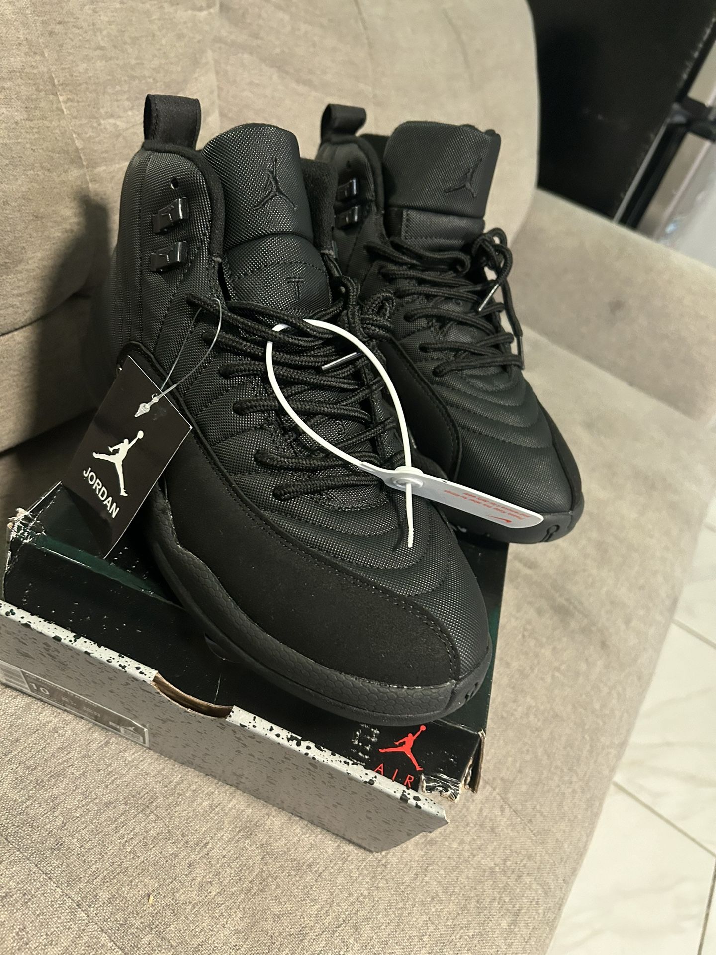 Jordan 12s 