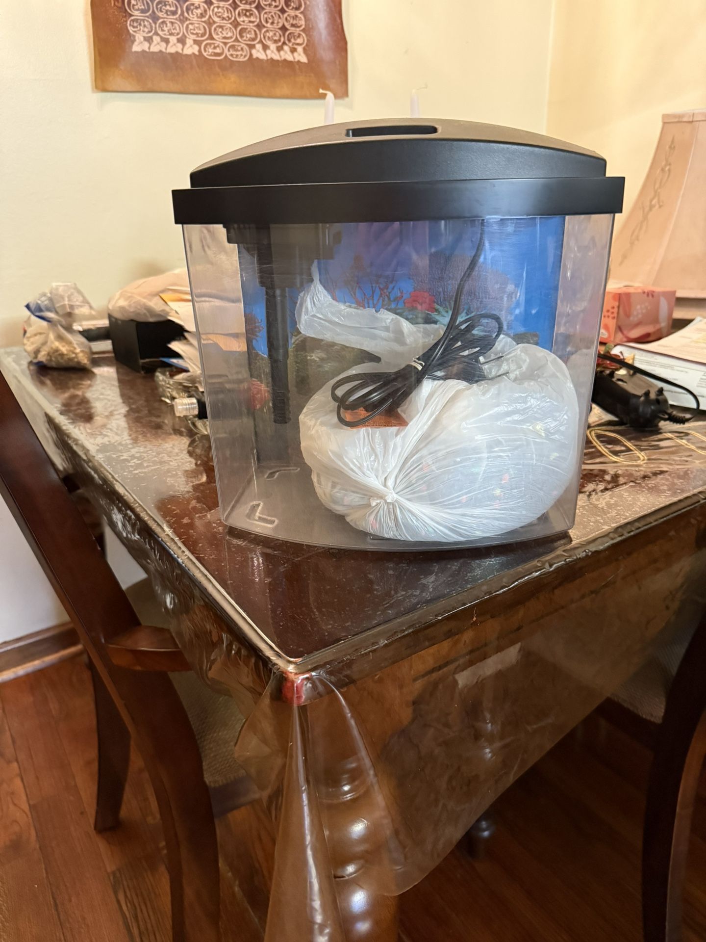 5 Gallon Aquarium