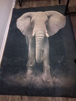 AREA RUG