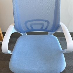 Ergonomic Office Desk Chairs 1 Chair