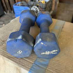 8lb dumbbells 