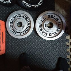 Two 25 Pound 2 Inch Cap Plates Great Condition