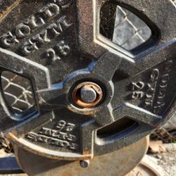 25lb Gym Weights Bench Press Plates $20 Each