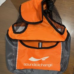 Insulated Backpack Lunch Bag Tote