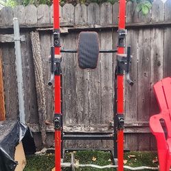 Pull Up / Dip Bar