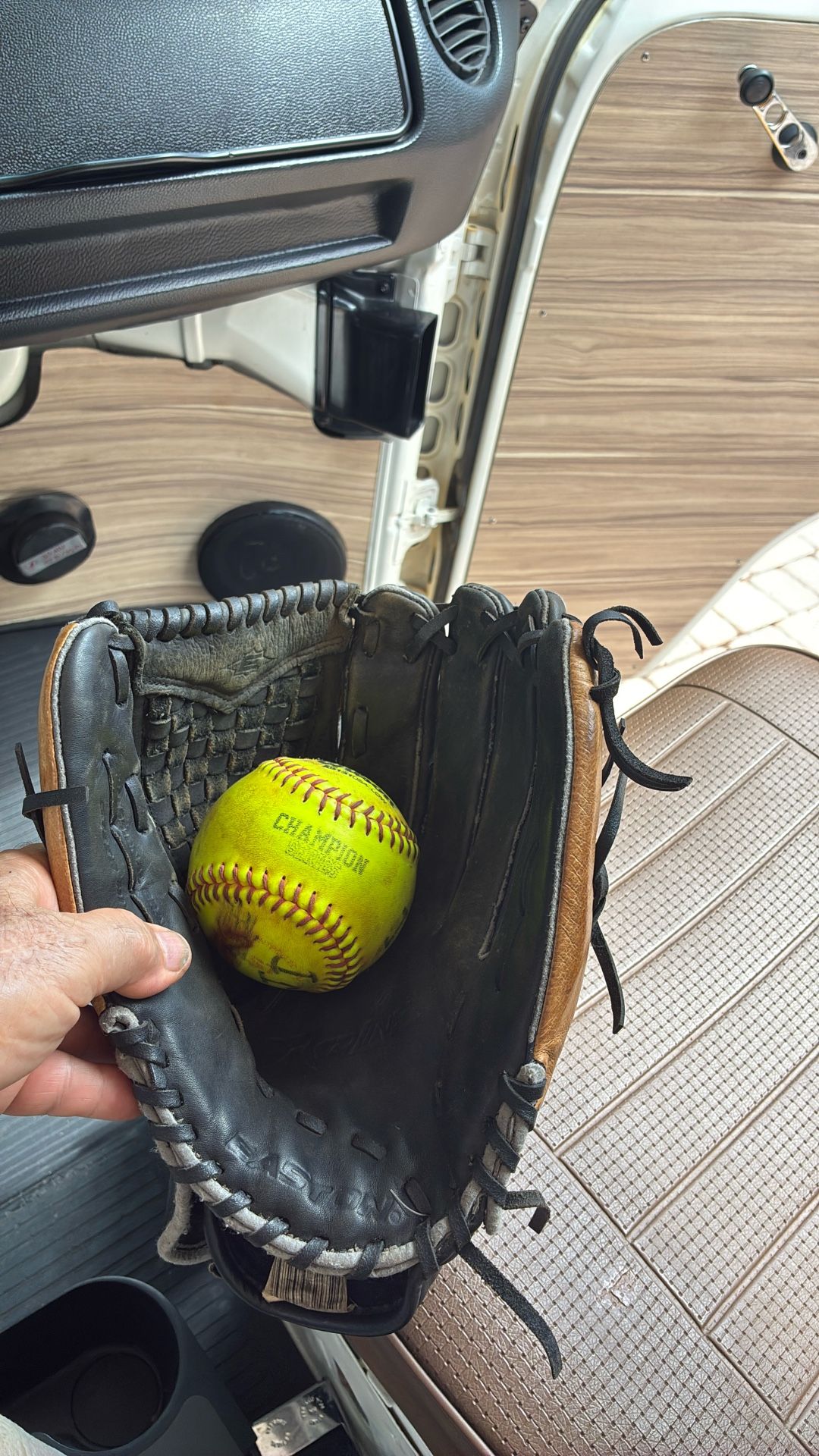 Baseball Or Softball Glove