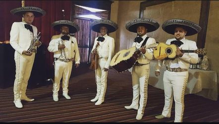 Moños De Mariachi